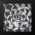 thumbnail image 2 of Frank, Assaf 12x12 Black Modern Framed Museum Art Print Titled - Natural Designs III, 2 of 5