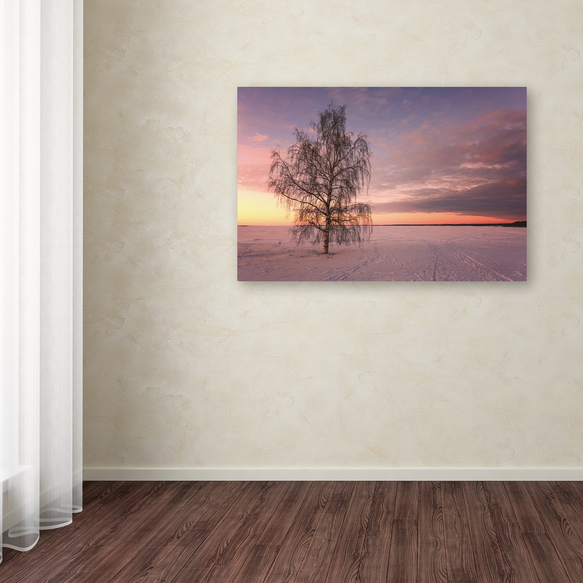 Trademark Fine Art 'Majesty of Nature' Canvas Art by Philippe Sainte-Laudy