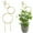 Gold, variant on ZMKIAG Circular Metal Trellis for Climbing Plants, Indoor/Outdoor Small Garden Trellis for Potted Plants, Plant Climber Support, for Potted Plants, Houseplants, and Decorations.