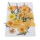 thumbnail image 1 of Tarjetas de felicitación colgantes con flores secas prensadas mixtas para álbumes de recortes, decoración DIY y decoración. naranja, 1 of 5