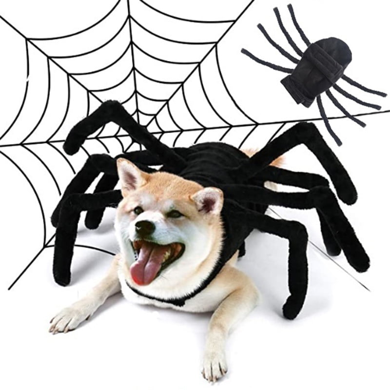 Dog spider outfit Clearance
