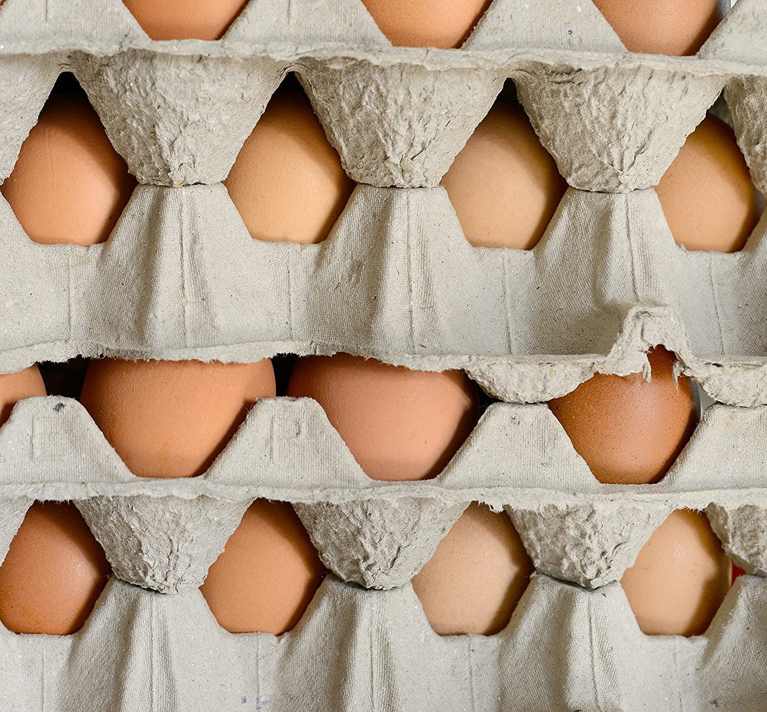 Cornucopia Brands 30-Count Egg Flats (18 Trays); Biodegradable Recycled Material Chicken Egg Cartons, Each Holds 30 Eggs