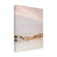 thumbnail image 2 of Trademark Fine Art Raisa Zwart Ameland Dunes 3 Canvas Wall Art, 2 of 4
