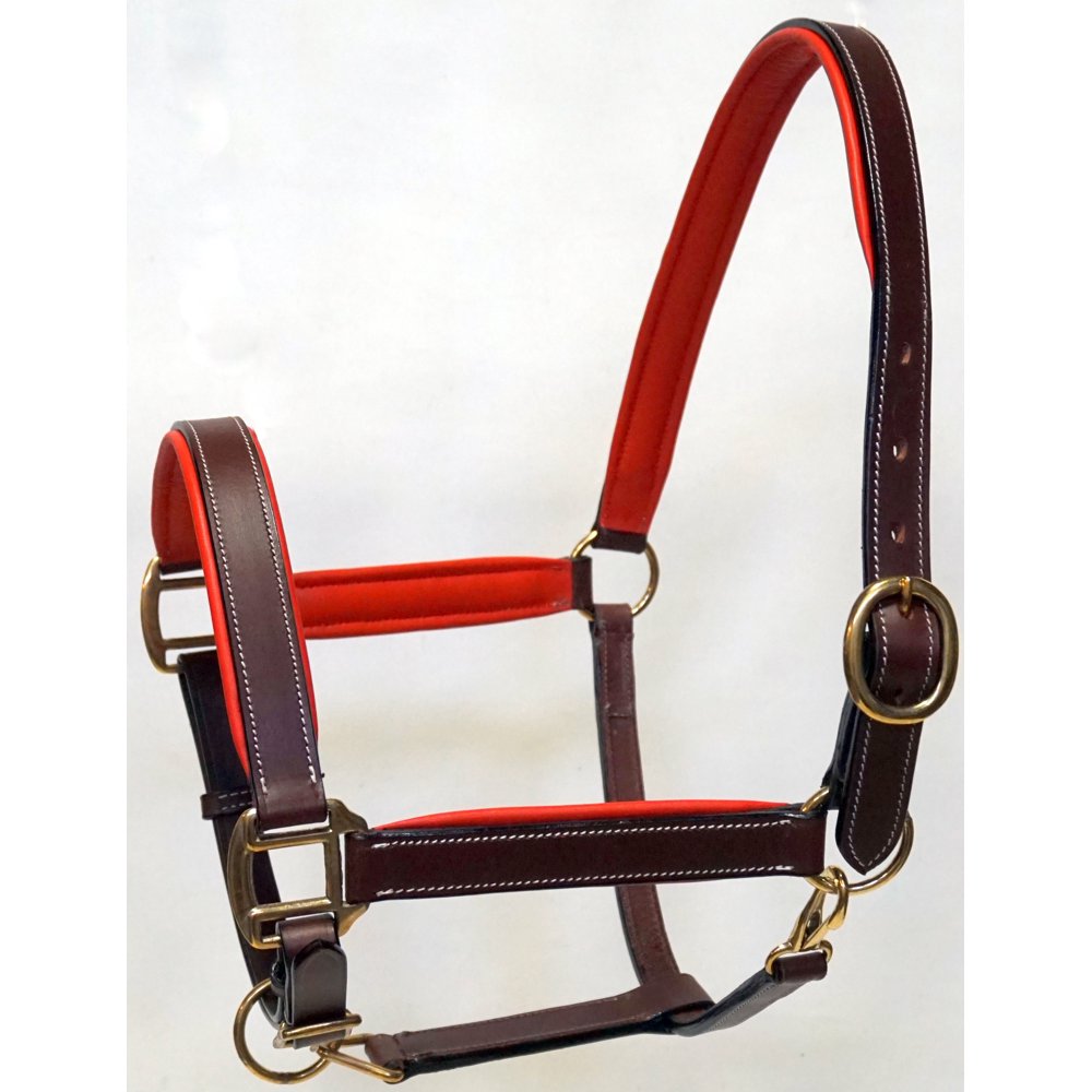 Equitem Full Horse Size Brown Leather Halter with Color Padded Crown