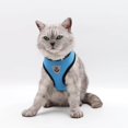 thumbnail image 5 of Mosey Practical Puppy Harness Multipurpose   Pet Accessories   Mesh Design, 5 of 7