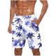 thumbnail image 1 of Pantalones Cortos Casuales para Hombre Imprimir con Bolsillos Pantalones de Playa de Cintura Elástica, Pantalones Cortos de Cintura Elástica para Hombre, 1 of 9