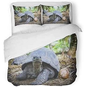 FMSHPON 3 Piece Bedding Set Close up of Giant Tortoise on The Seychelles Wildlife Beautiful Twin Size Duvet Cover with 2 Pillowcase for Home Bedding Room Decoration