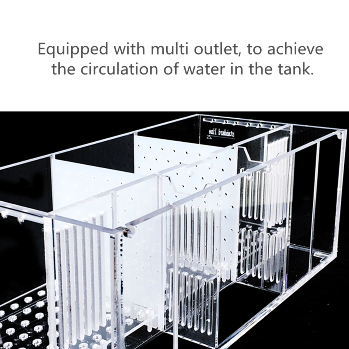 acrylic clear aquarium baby