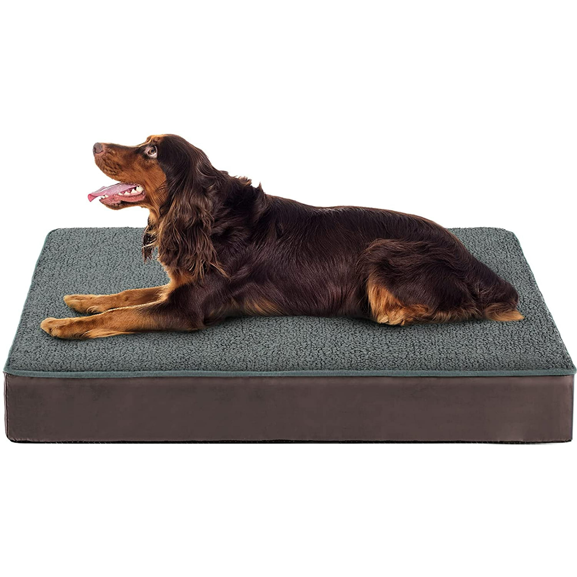 Hip dog beds online