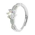 thumbnail image 1 of Ganfancp Mujeres Zircon Anillos Moda Temperamento Dedo Anillo Pareja Anillo Romántico Día de San Valentín Mujeres Ofertas y Liquidaciones 1X Anillo, 1 of 2