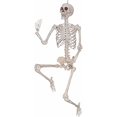 thumbnail image 2 of Way to Celebrate! 5 ft Posable Skeleton Halloween Decoration Prop, 2 of 4
