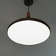 thumbnail image 2 of Pantalla de lámpara de techo acrílica de repuesto, lámina difusora, panel de filtro de luz redondo, difusor de luz para lámparas colgantes modernas, cubierta de filtro esmerilado, 2 of 5