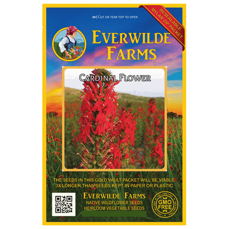 Everwilde Farms - 2000 Cardinal Flower Native Wildflower Seeds - Gold Vault Jumbo Bulk Seed (Best Time To Plant Wildflower Seeds)