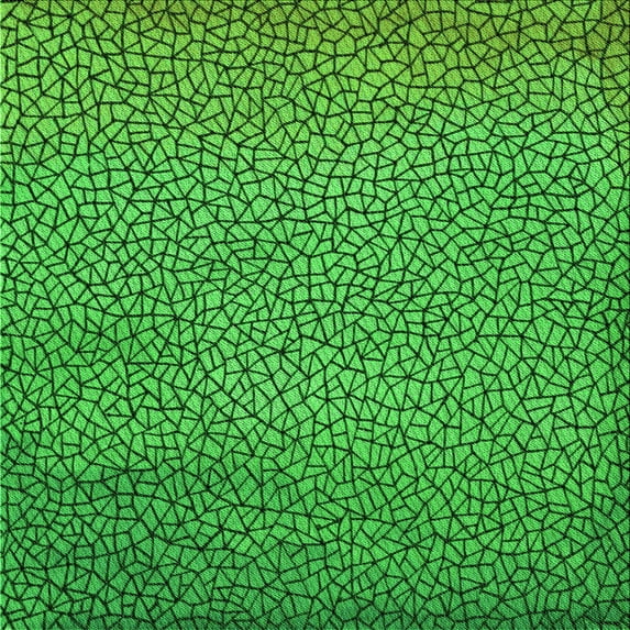 Ahgly Company Indoor Square Patterned Green Area Rugs, 4' Square