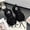 black, variant on Women Rhinestone Chunky Platform Sneakers Sparkle Dad Style Casual Shoes