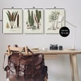 thumbnail image 4 of Stupell Industries Vintage Botanical Studies Botanical & Floral Painting Gallery Wrapped Canvas Art Print Wall Art, 24 x 30, Set of 3, 4 of 8