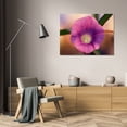 thumbnail image 3 of Bob Stefko 40x27 Gallery Wrapped Canvas Wall Art Titled - Morning Glory I, 3 of 4