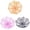 Orange+Pink+Black, variant on 1-3PC Halloween Spider Web Candy Bowls 11.4x3 Inch Cobweb Design Serving Bowls in Orange Black Pink for Party Decor Trick or Treating Food Trays Table Centerpieces