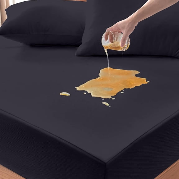 Queen Mattress Protector, Waterproof Mattress Cover with 12" Deep Pocket Bed Cover, Fitted Sheet Style Noiseless Breathable Machine Washable, Black (60'' X 80'')