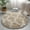 C, variant on Ctnporpo Carpet Artificial Rugs Living Room Rugs for Living Room Home Decoration Small Rugs Area Rug Carpet