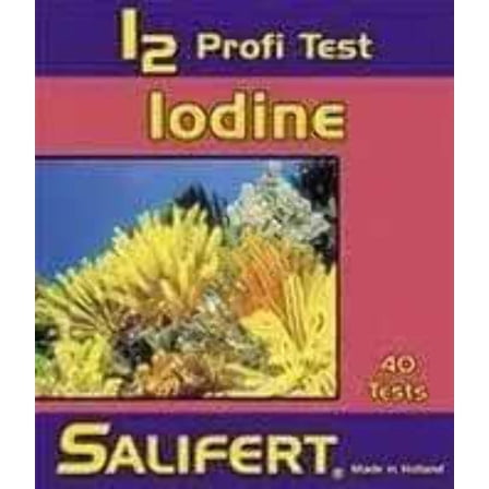 Salifert Iodine Test Kit