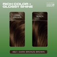 thumbnail image 4 of Tinte para el cabello Clairol Natural Instincts Demi-Permanent 4BZ Pack 3, 4 of 9