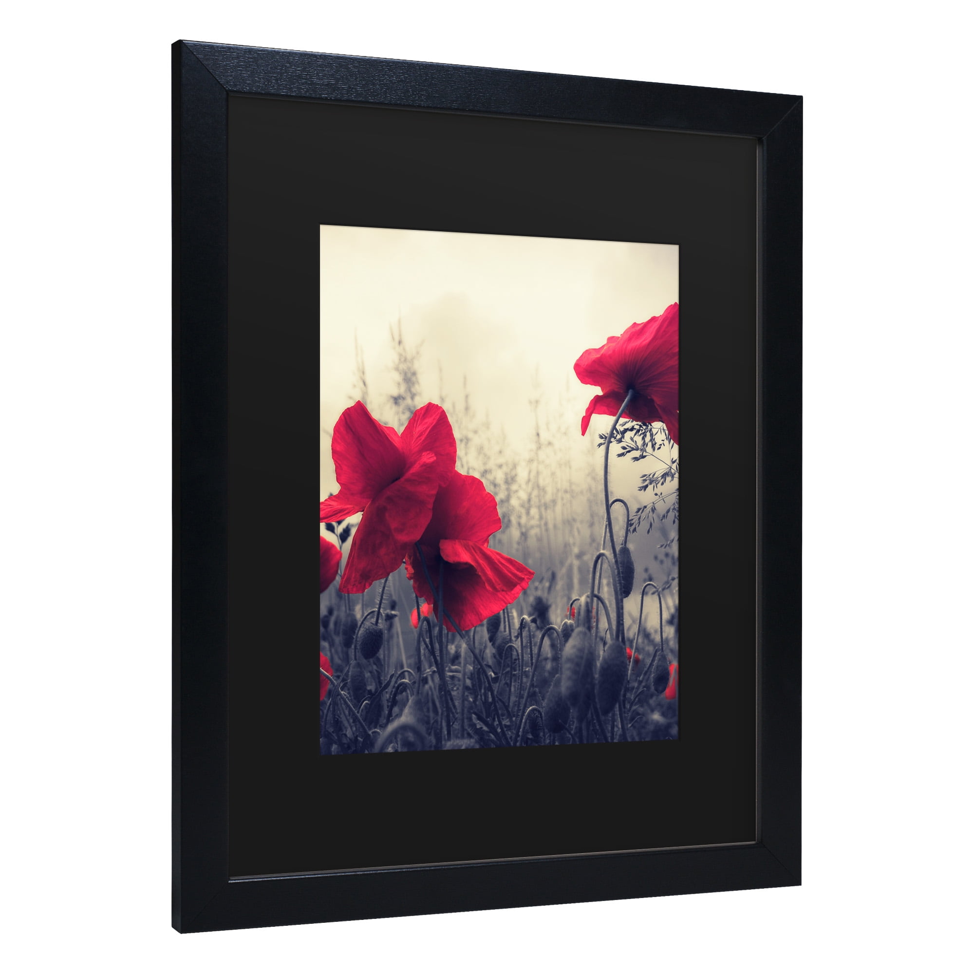 Trademark Fine Art 'Limitless' Canvas Art by Philippe Sainte-Laudy