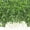 Green-40 Pack, variant on Artificial Italian Ruscus Greenery Stems 20 Pack Green Faux Leaf Garland Branches