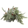 thumbnail image 1 of Cadena De Luz De Aguja De Pino Cadena De Lámpara De Árbol De Pino De Alto Brillo Kit De Luz De Árbol De Pino Led Flexible Cadena De Luz De Árbol Relajante Durable Para La Decoración Del Hogar Eigraketly HA016643-00, 1 of 7