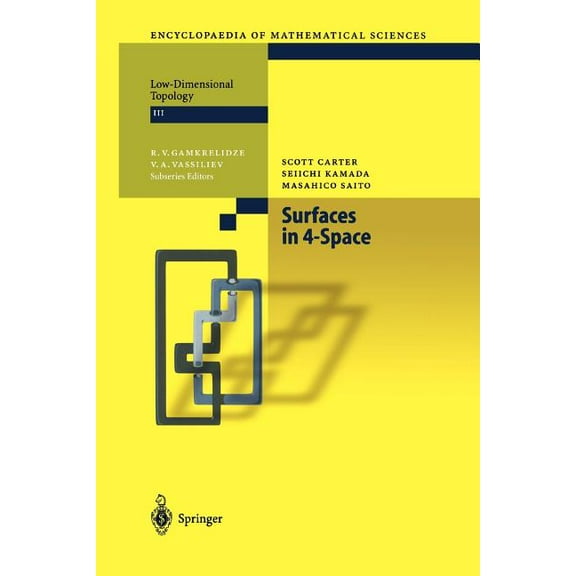 Encyclopaedia of Mathematical Sciences Surfaces in 4-Space, Book 142, (Paperback)