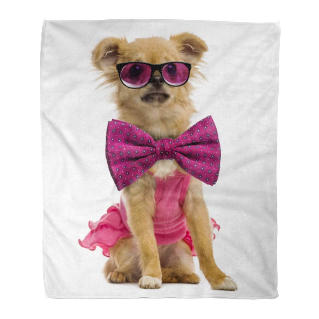 NUDECOR Flannel Throw Blanket Dog Chihuahua Puppy Wearing Pink Glasses and Bow Tie Soft for Bed Sofa and Couch 50x60 Inches Walmart
