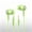 Green1, variant on Fnochy Wired Earbuds in-Ear Headphones, Earphones with Microphone, HD Stereo Sound, Lightweight Design, Noise Isolation Corded for 3.5mm Jack Ear Buds for Computer, Laptop, Kids, School Students