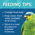 thumbnail image 6 of Pennington Large Bird Everyday Blend Bird Food for Parrots, Cockatoos; 3 lb. Bag, 6 of 10