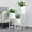 White, variant on TRIROCKS Set of 3 Planters with Stand Indoor Otdoor Tall Planters for Indoor  29 &18 &12" Morden Planters Flower Pots for Living Room Corner Kitchen Office Garden Balcony Patio Decor(White)