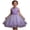 H-669 Purple, variant on Pink Wedding Guest Formal Prom Party Evening Gowns for Girls Sleeveless Crew Neck Embroidered Medieval Goddess Mesh Camisole Tank Dresses Homecoming Dress Girl 2026 3 Years