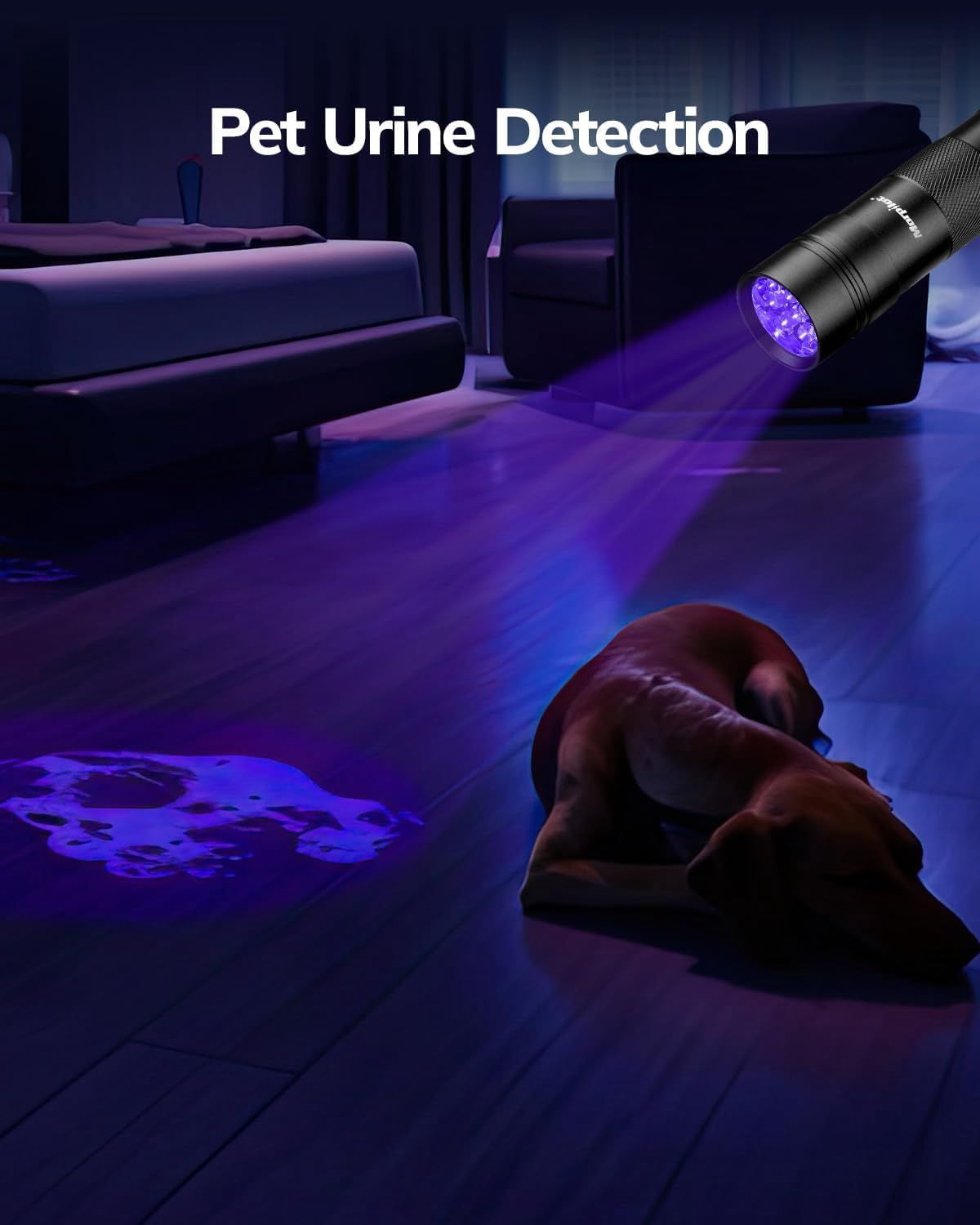 UV Blacklight Flashlights, 12 LED 395nm Ultraviolet UV Flashlight, 2 PCS Blacklight Mini for Pet Urine Detection, UV Light for Stains, Bed Bugs, Resin Curing, Scorpions (Batteries Included)