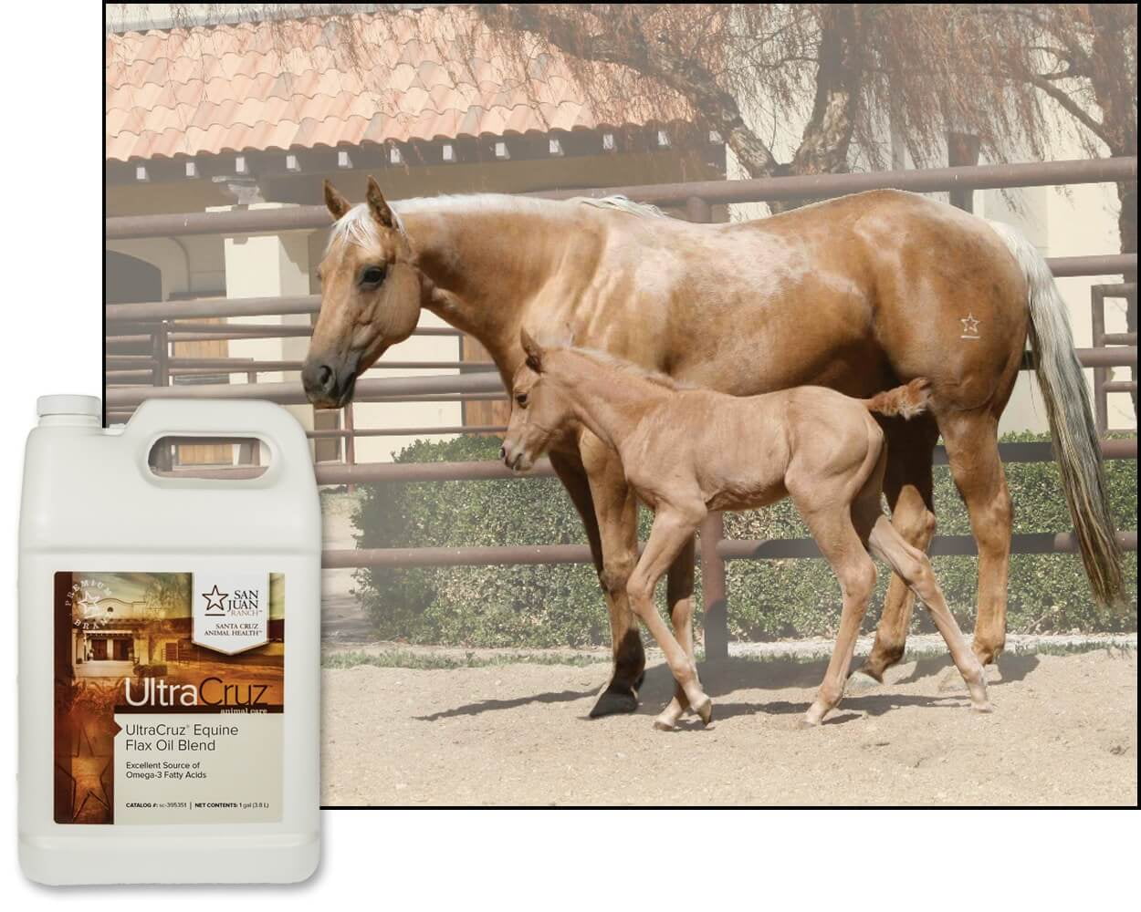 UltraCruz® Equine Flax Oil Blend, 4 x 1 gallon