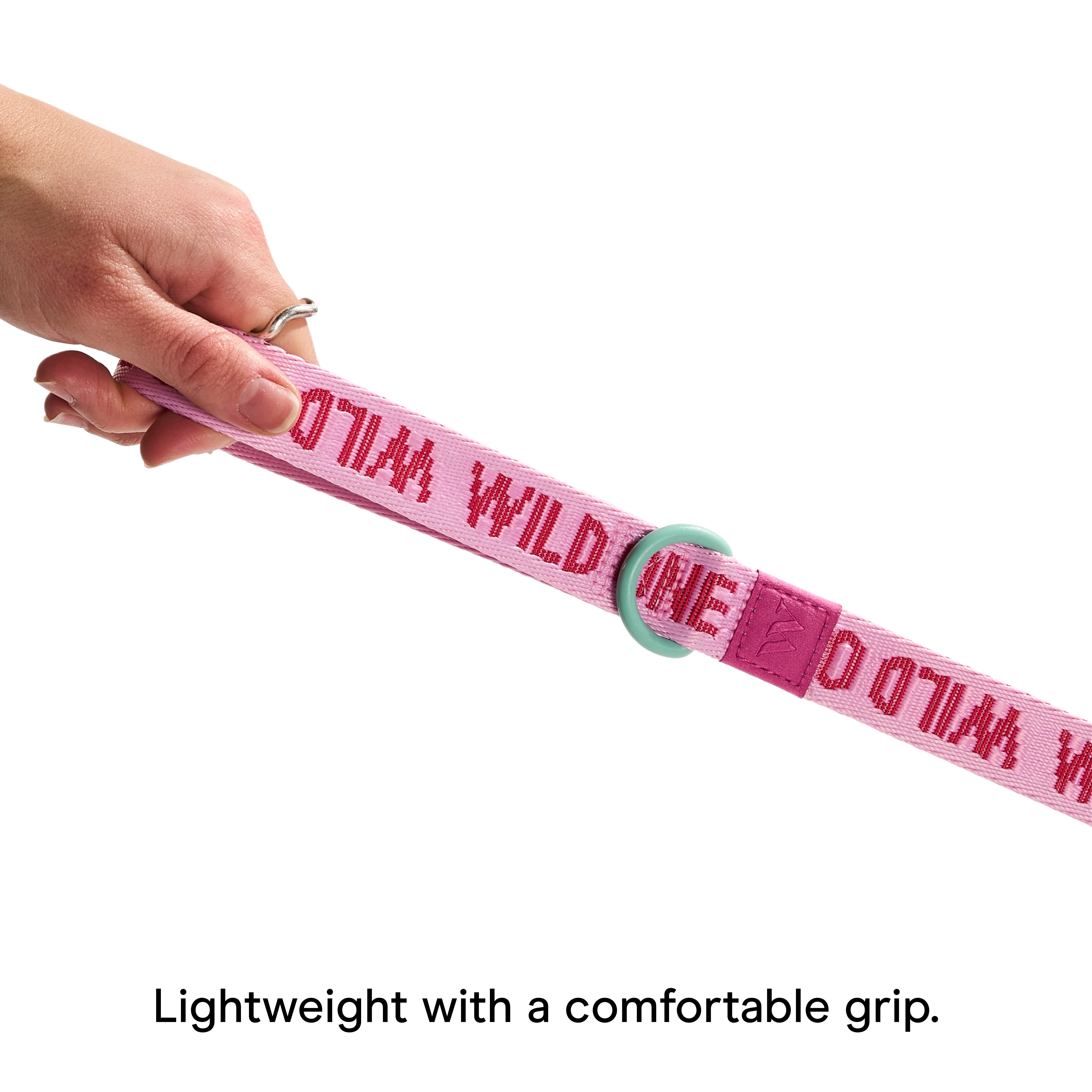 Wild One 6ft Heavy Duty Lightweight Nylon Dog Leash, Bubblegum Pink Colorblock