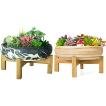 DYJP Succulent Pots - 10 Inch Large Bonsai Pots with Drainage Stand, Ceramic Plant Pots Shallow Succulent Planters for Indoor Plants Decorative Cactus Flower Planter Bowl