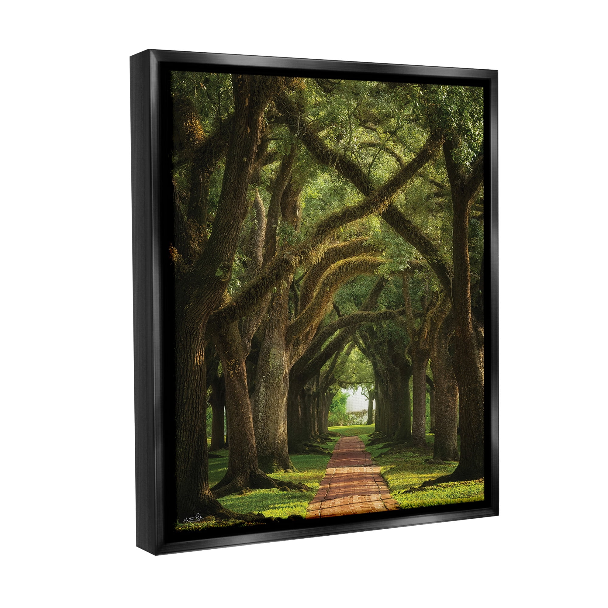 Stupell Industries Shadowed Tree Grove Landscape Photography Black Floater Framed Canvas Art Print Wall Art, 17 x 21