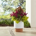 thumbnail image 2 of Better Homes & Gardens 12" x 12" x 13.4" Laurie White Resin Planter, 2 of 5