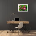 thumbnail image 3 of Perry, William 14x11 White Modern Wood Framed Museum Art Print Titled - Pink bougainvillea closeup-Moorea-Tahiti-French Polynesia, 3 of 4