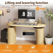 55 Electric Standing Desk, Height Adjustable Sit Stand Desk with Storage, Computer Desk