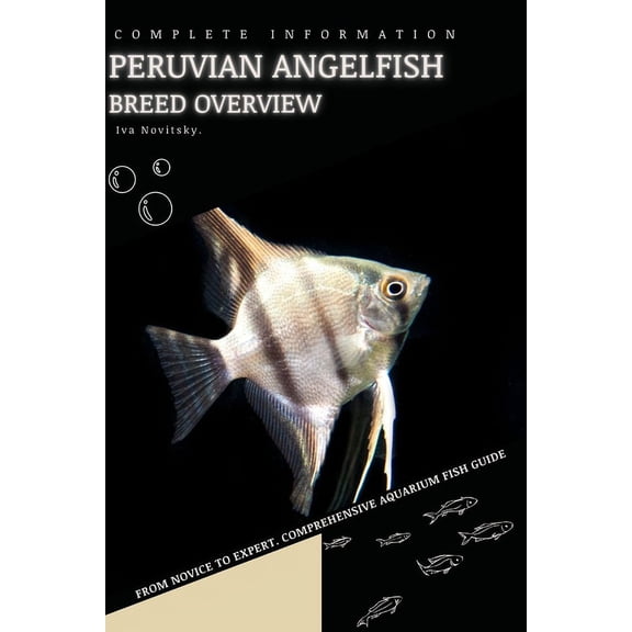 Peruvian Angelfish : From Novice to Expert. Comprehensive Aquarium Fish Guide (Paperback)