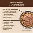 thumbnail image 4 of Wellness CORE Grain-Free Turkey, Turkey Meal & Duck Formula Dry Cat Food, 11 Pound Bag, 4 of 8