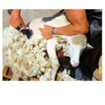 thumbnail image 6 of 690W Electric Sheep Pet Hair Clipper Shearing Kit Shear Wool Cut Goat Pet Animal Shearing Supplies Farm Cut Machine ,Easy to Operate, 6 of 6