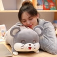 thumbnail image 3 of 40cm/50cm Plush Doll Cartoon Pig Hamster Toy Sofa Cushion Throw Pillow for Kids Present, 3 of 9