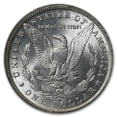 thumbnail image 3 of 1884-O Morgan Dollar MS-62 PCGS, 3 of 3
