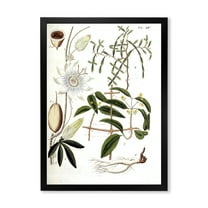 Designart 'Ancient Plant Life IV' Farmhouse Framed Art Print