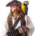 thumbnail image 3 of Pirate Hat For Adult Halloween Hats For Adults Colonial Style Tricorn Hat Suitable Banmo, 3 of 5